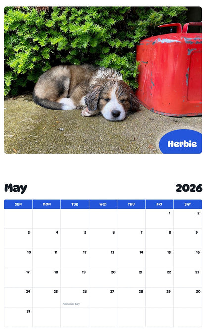 2026 - 2027 Herbie - Pawidols Pet Calendar
