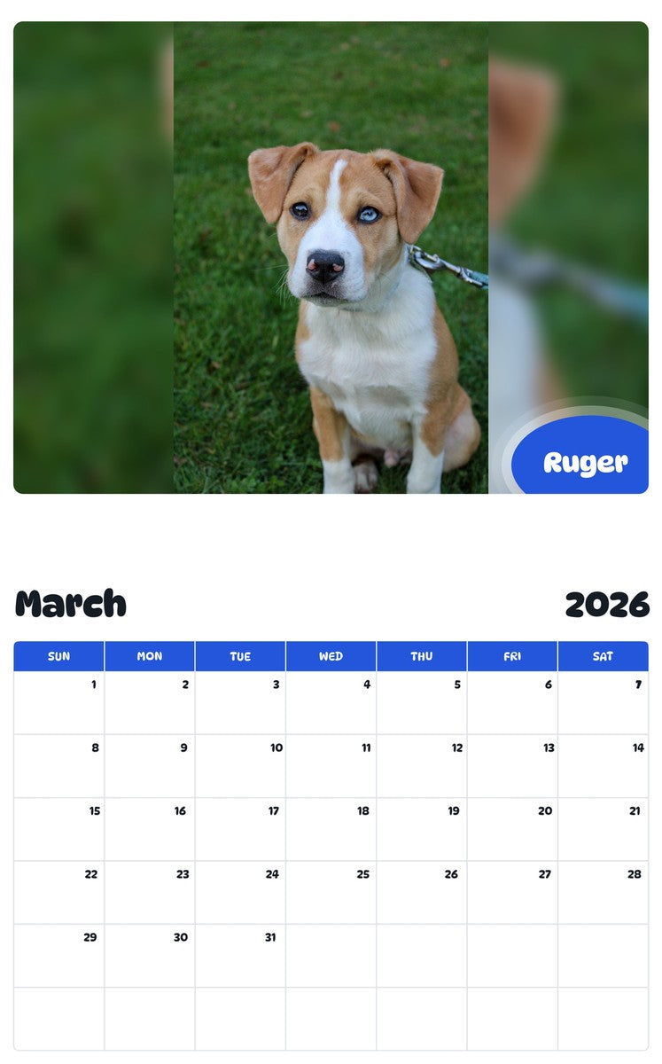November 2025 - October 2026 Ruger - Pawidols Pet Calendar