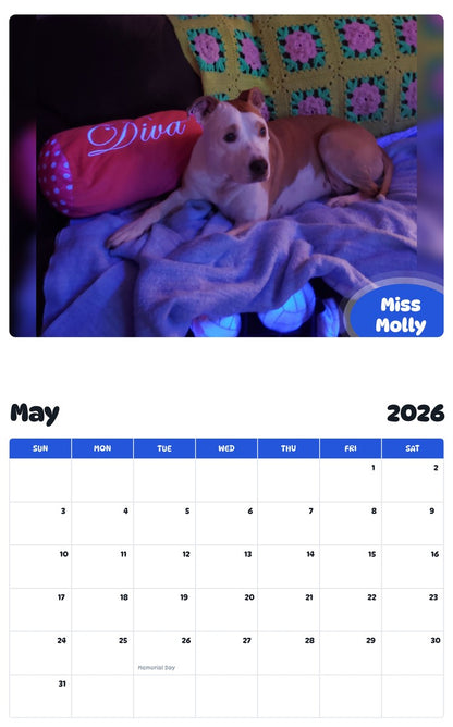 2026 - 2027 Miss Molly - Pawidols Pet Calendar