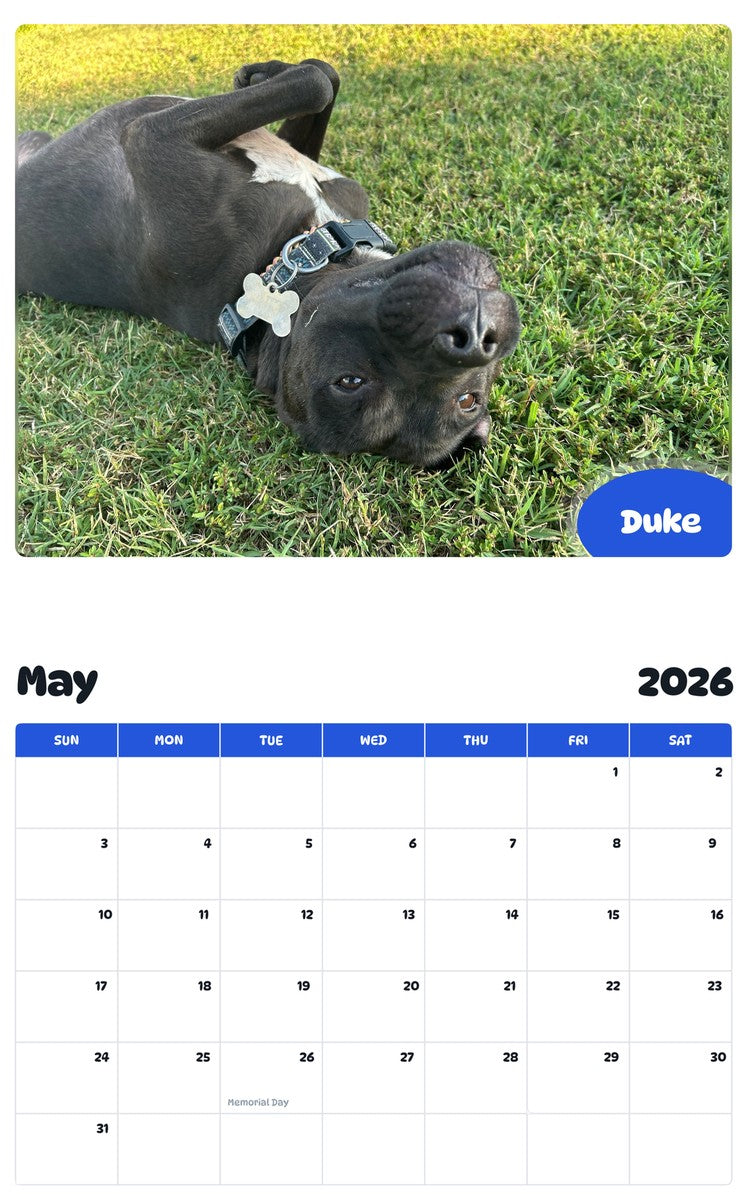 2026 - 2027 Duke - Pawidols Pet Calendar