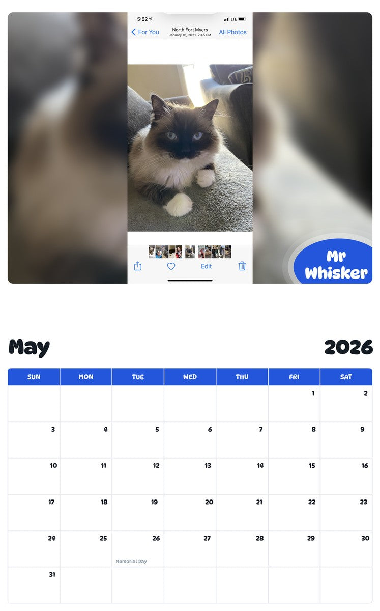 2026 - 2027 Mr Whisker - Pawidols Pet Calendar