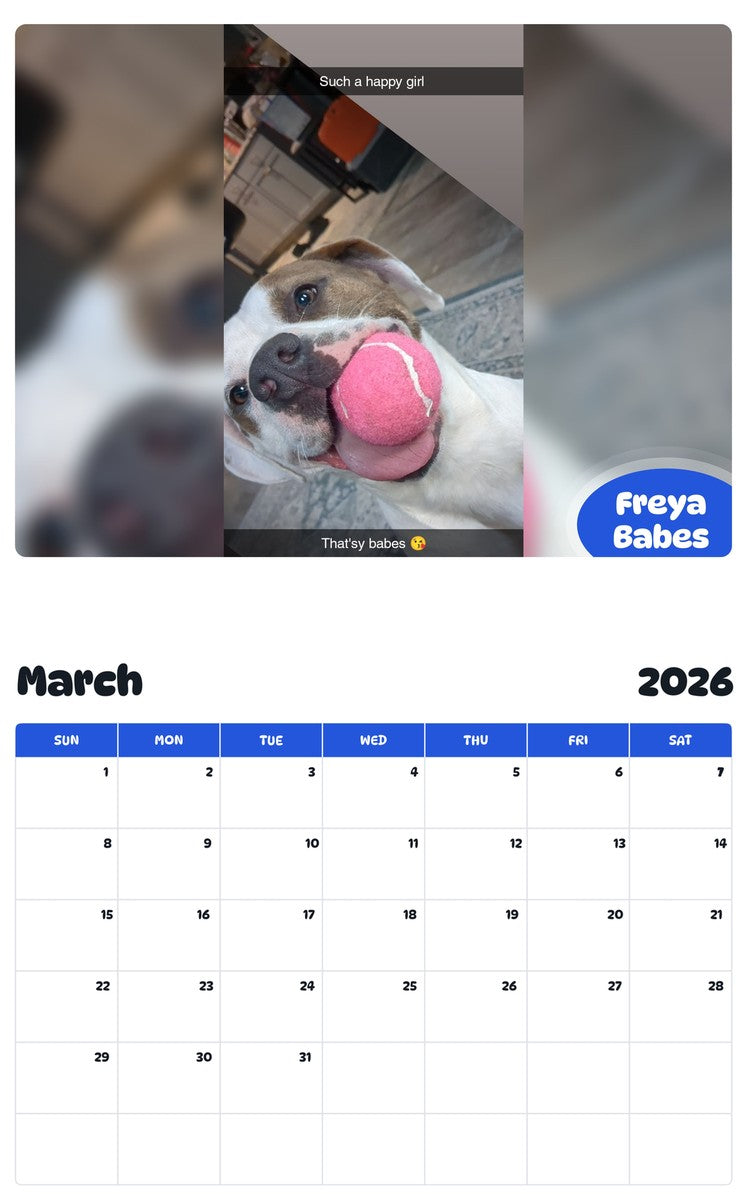 November 2025 - October 2026 Freya Babes - Pawidols Pet Calendar
