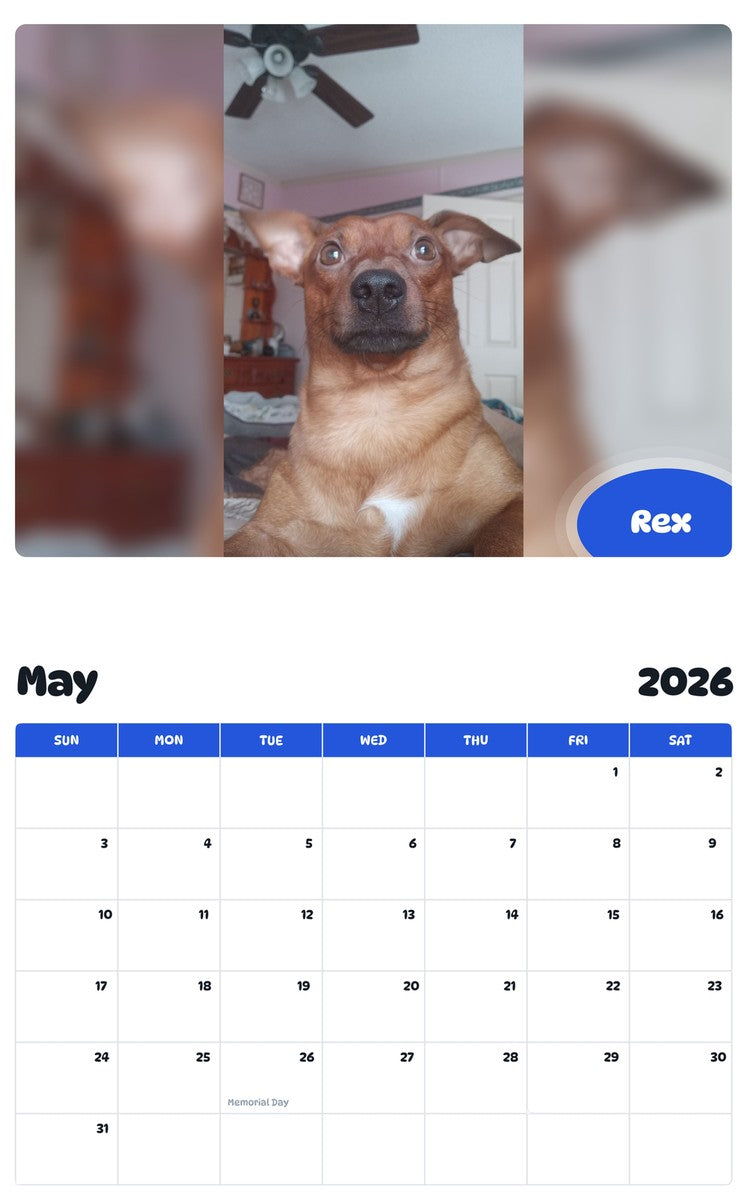 2026 - 2027 Rex - Pawidols Pet Calendar