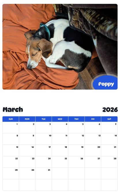 November 2025 - October 2026 Poppy - Pawidols Pet Calendar