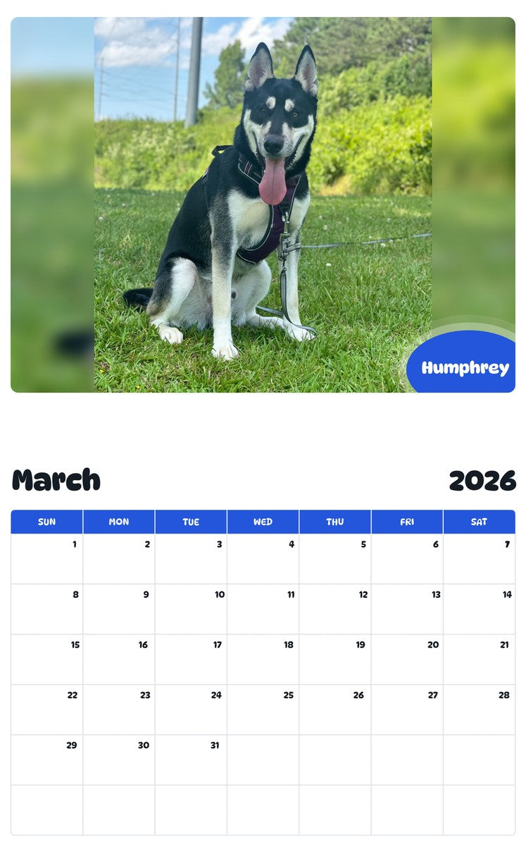 November 2025 - October 2026 Humphrey - Pawidols Pet Calendar