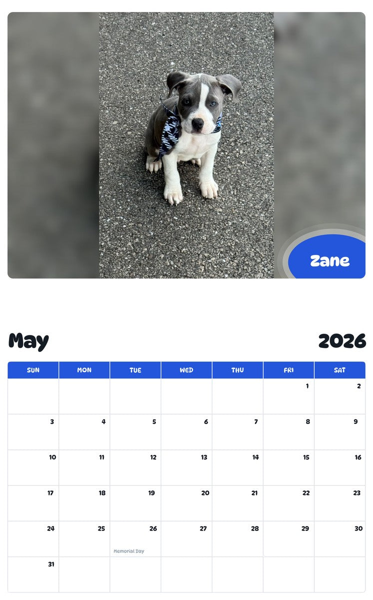 2026 - 2027 Zane - Pawidols Pet Calendar