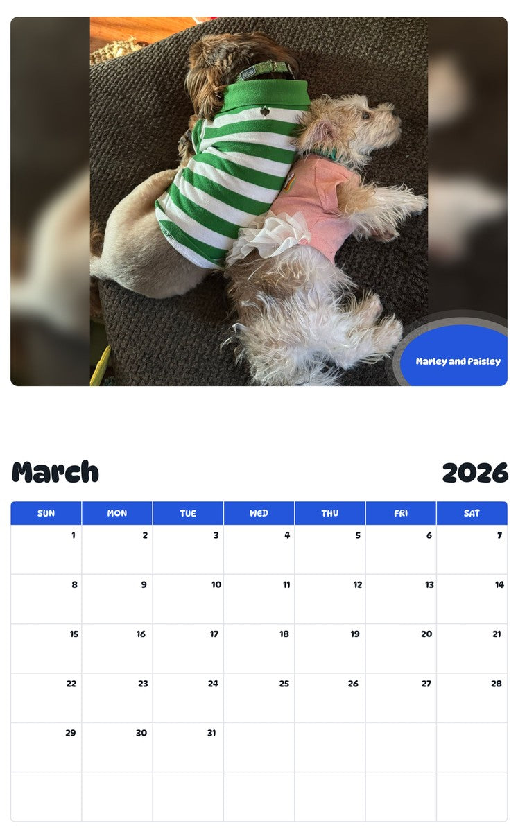 November 2025 - October 2026 Marley and Paisley - Pawidols Pet Calendar