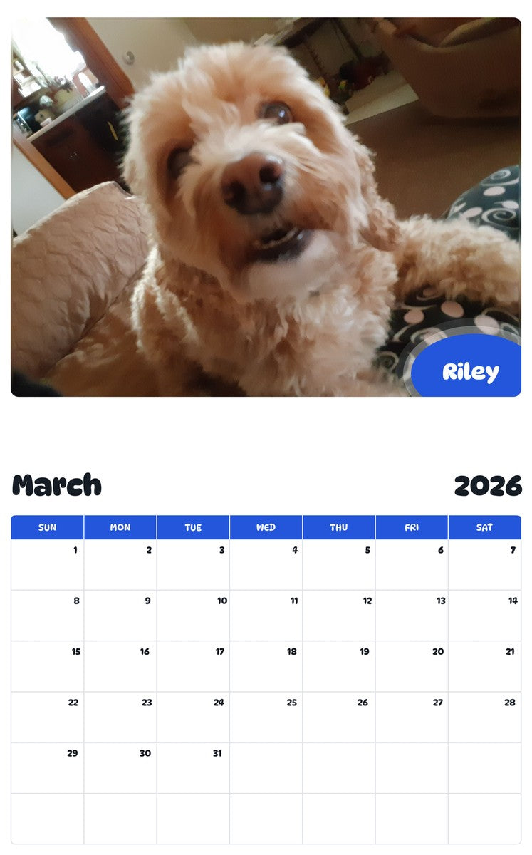 November 2025 - October 2026 Riley - Pawidols Pet Calendar
