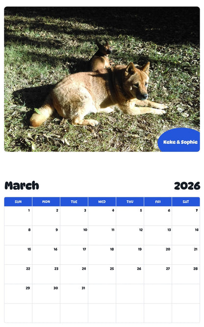 November 2025 - October 2026 Keke & Sophie - Pawidols Pet Calendar