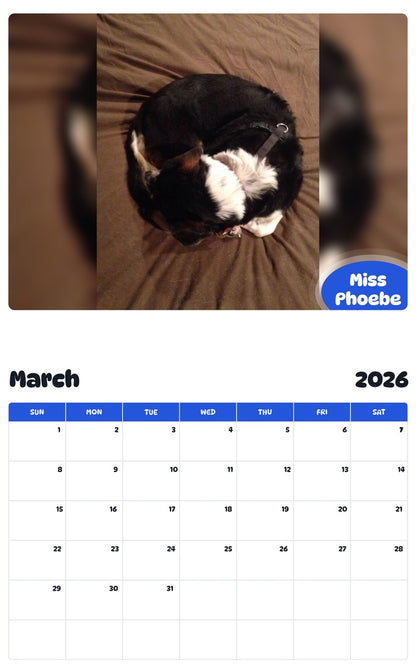 November 2025 - October 2026 Miss Phoebe - Pawidols Pet Calendar