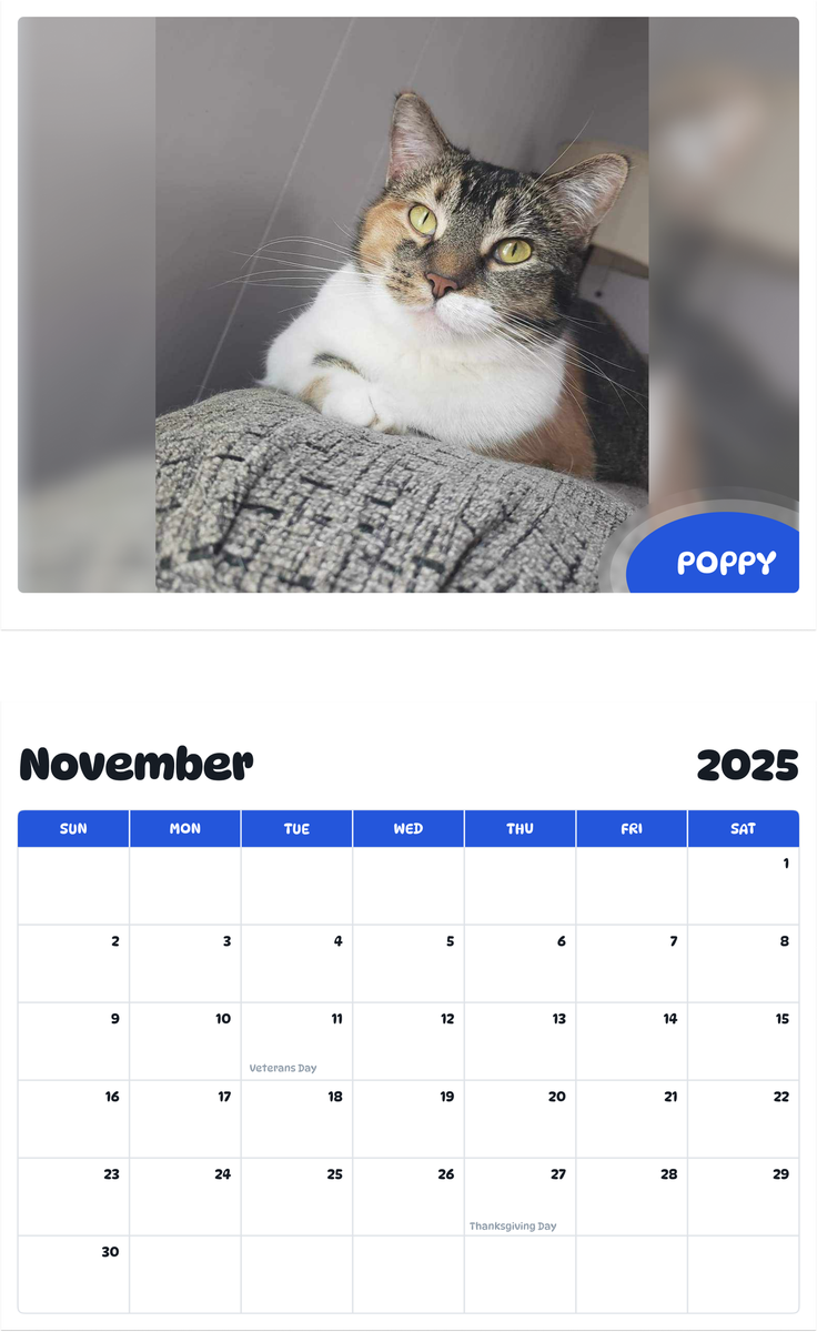 July 2025 - June 2026 Poppy - Pawidols Pet Calendar