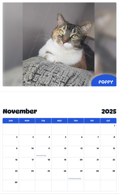 July 2025 - June 2026 Poppy - Pawidols Pet Calendar