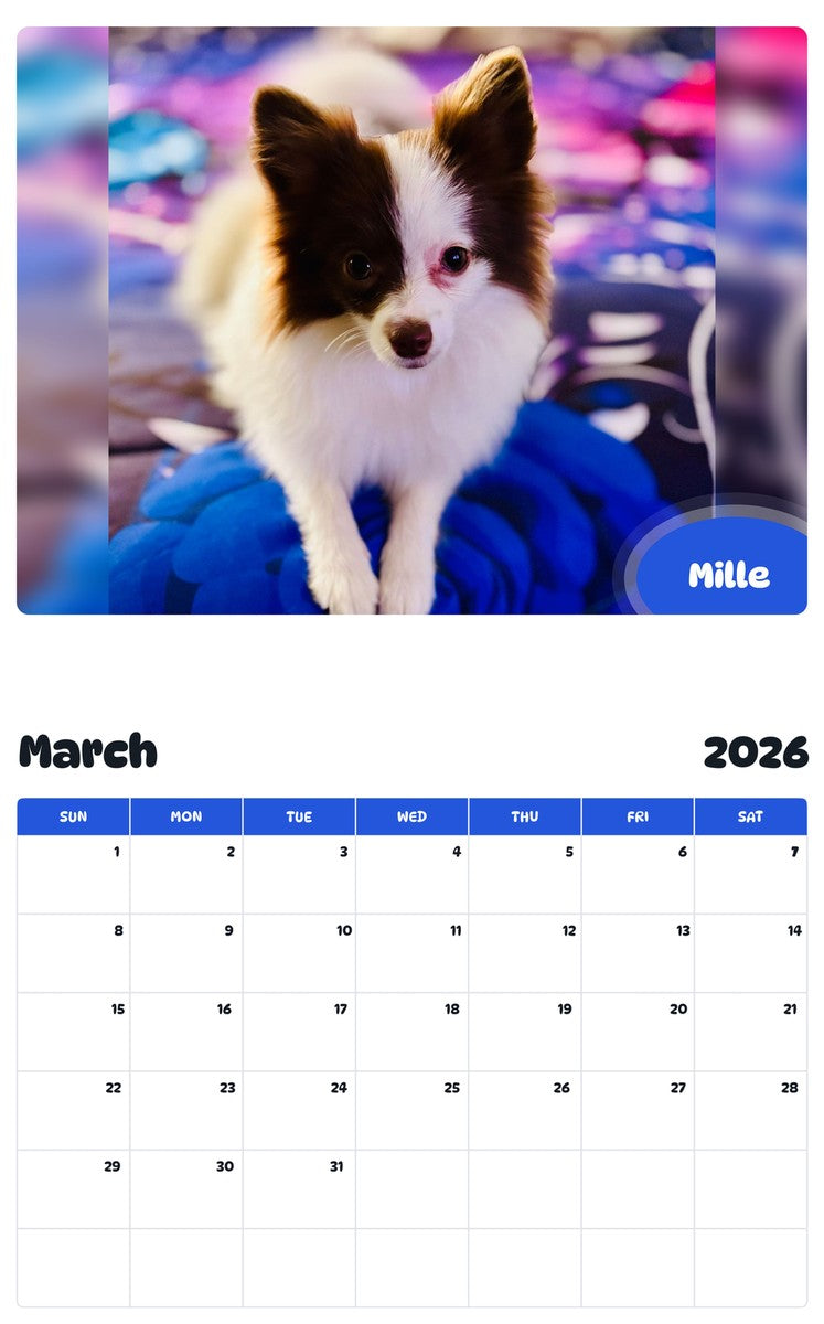 November 2025 - October 2026 Mille - Pawidols Pet Calendar