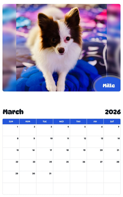 November 2025 - October 2026 Mille - Pawidols Pet Calendar