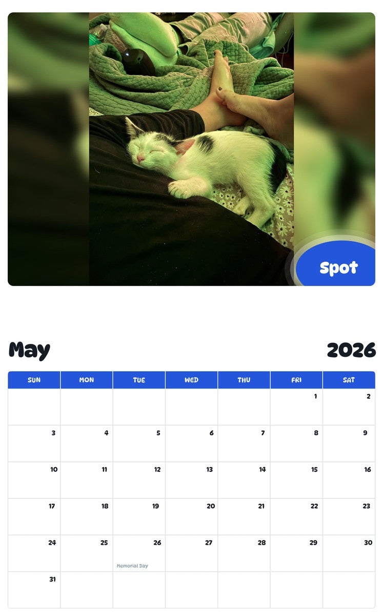 2026 - 2027 Spot - Pawidols Pet Calendar