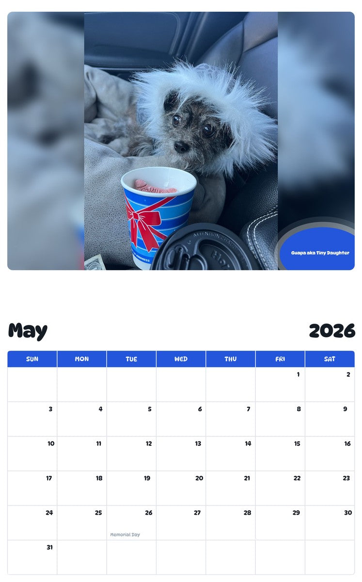 2026 - 2027 Guapa aka Tiny Daughter - Pawidols Pet Calendar