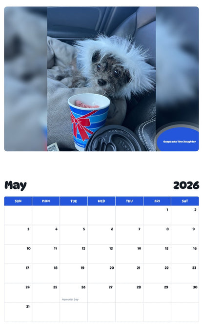 2026 - 2027 Guapa aka Tiny Daughter - Pawidols Pet Calendar