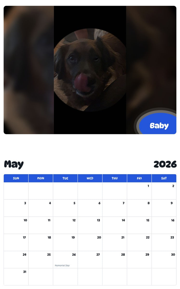 2026 - 2027 Baby - Pawidols Pet Calendar