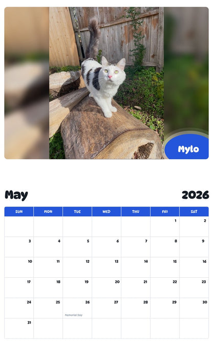 2026 - 2027 Mylo - Pawidols Pet Calendar