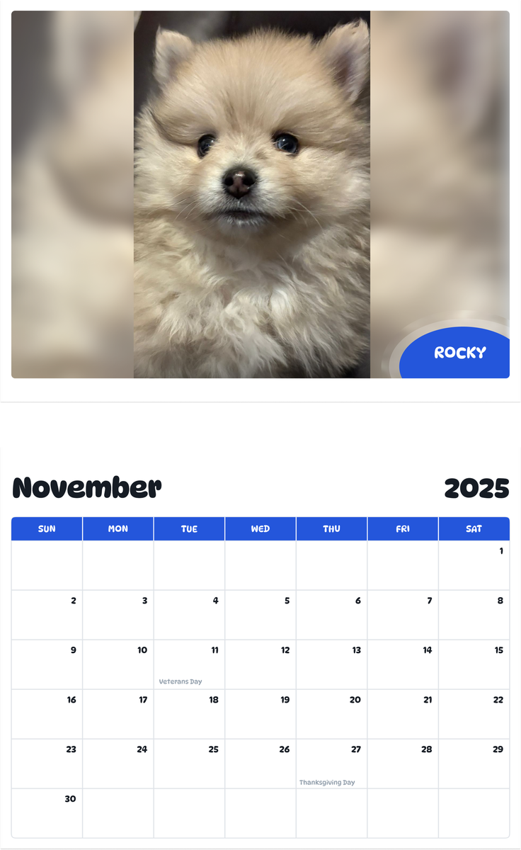 July 2025 - June 2026 Rocky - Pawidols Pet Calendar
