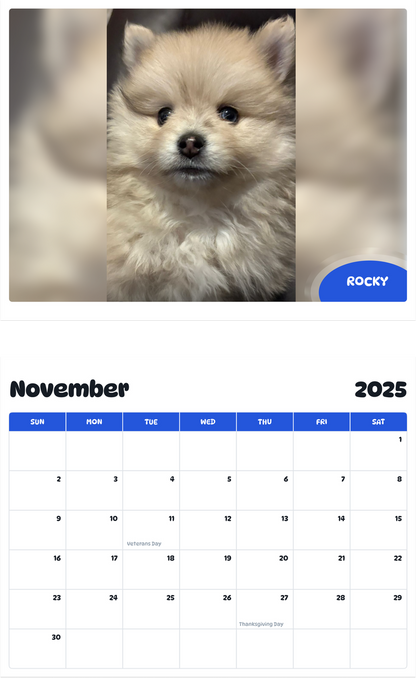 July 2025 - June 2026 Rocky - Pawidols Pet Calendar