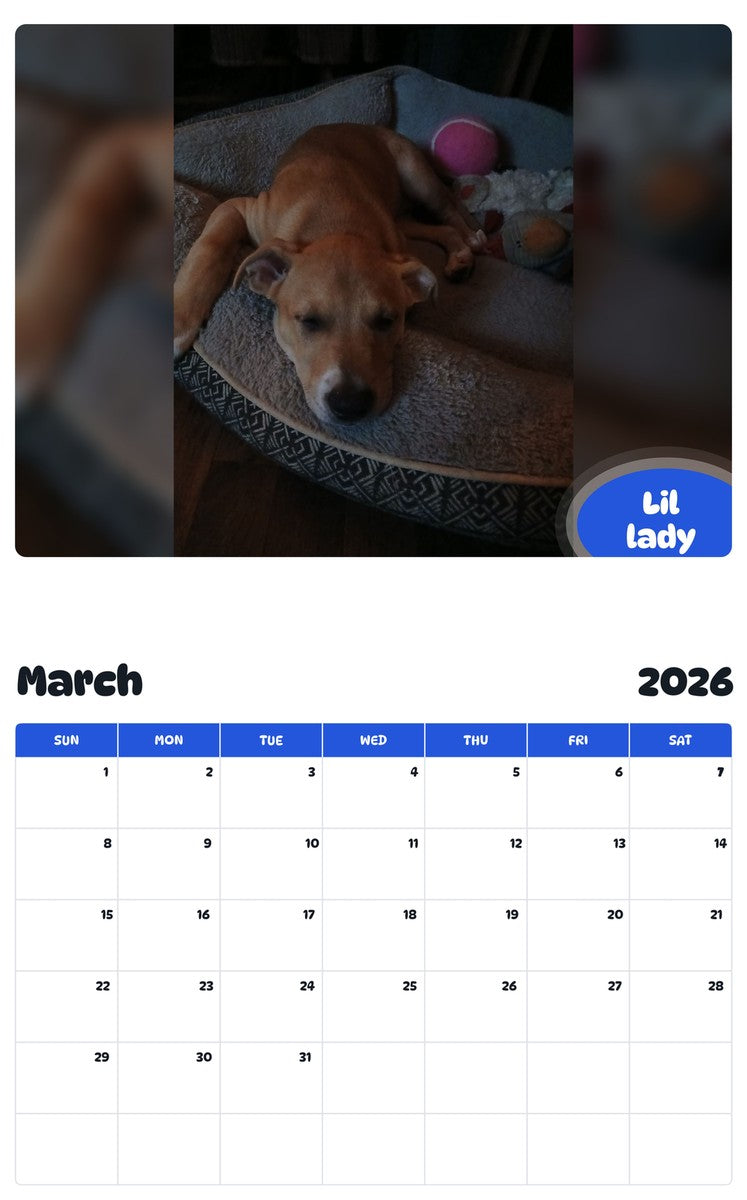 November 2025 - October 2026 Lil lady - Pawidols Pet Calendar