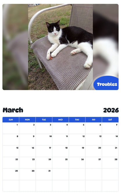 November 2025 - October 2026 Troubles - Pawidols Pet Calendar