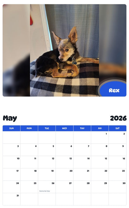 2026 - 2027 Rex - Pawidols Pet Calendar