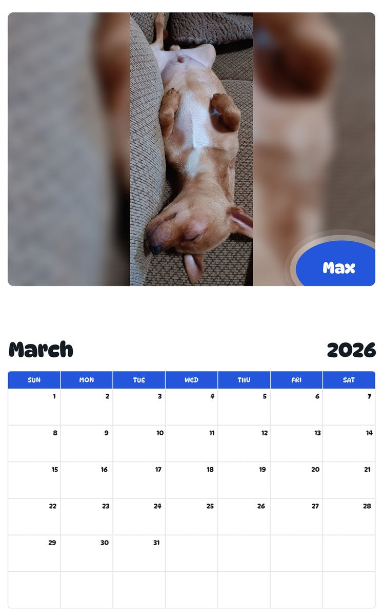 November 2025 - October 2026 Max - Pawidols Pet Calendar