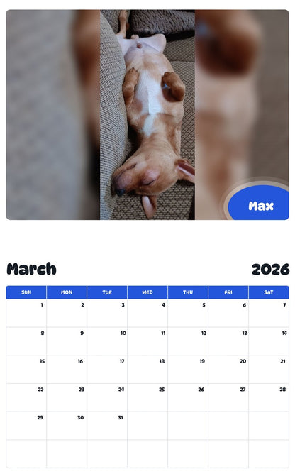 November 2025 - October 2026 Max - Pawidols Pet Calendar