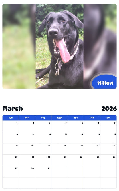 November 2025 - October 2026 Willow - Pawidols Pet Calendar