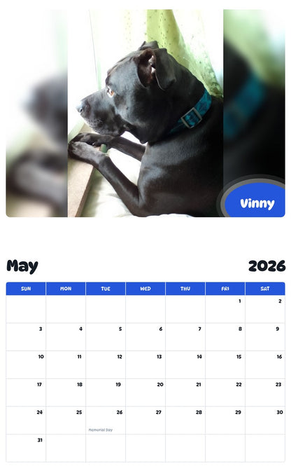 2026 - 2027 Vinny - Pawidols Pet Calendar