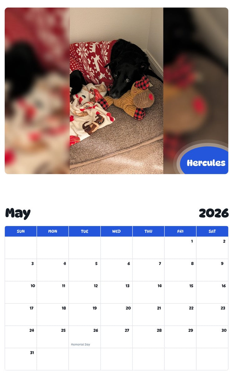 2026 - 2027 Hercules - Pawidols Pet Calendar