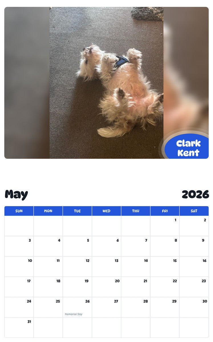 2026 - 2027 Clark Kent - Pawidols Pet Calendar