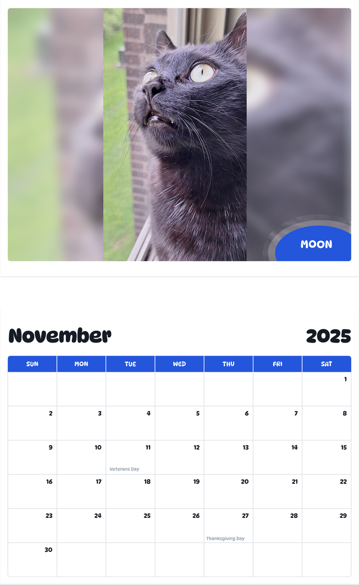 July 2025 - June 2026 Moon - Pawidols Pet Calendar