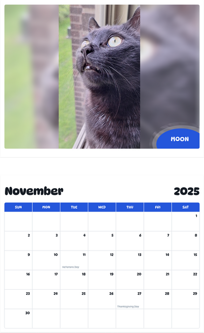 July 2025 - June 2026 Moon - Pawidols Pet Calendar