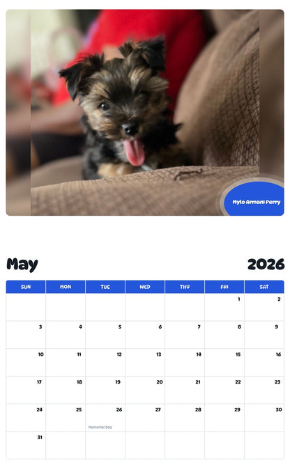 2026 - 2027 Mylo Armani Perry - Pawidols Pet Calendar