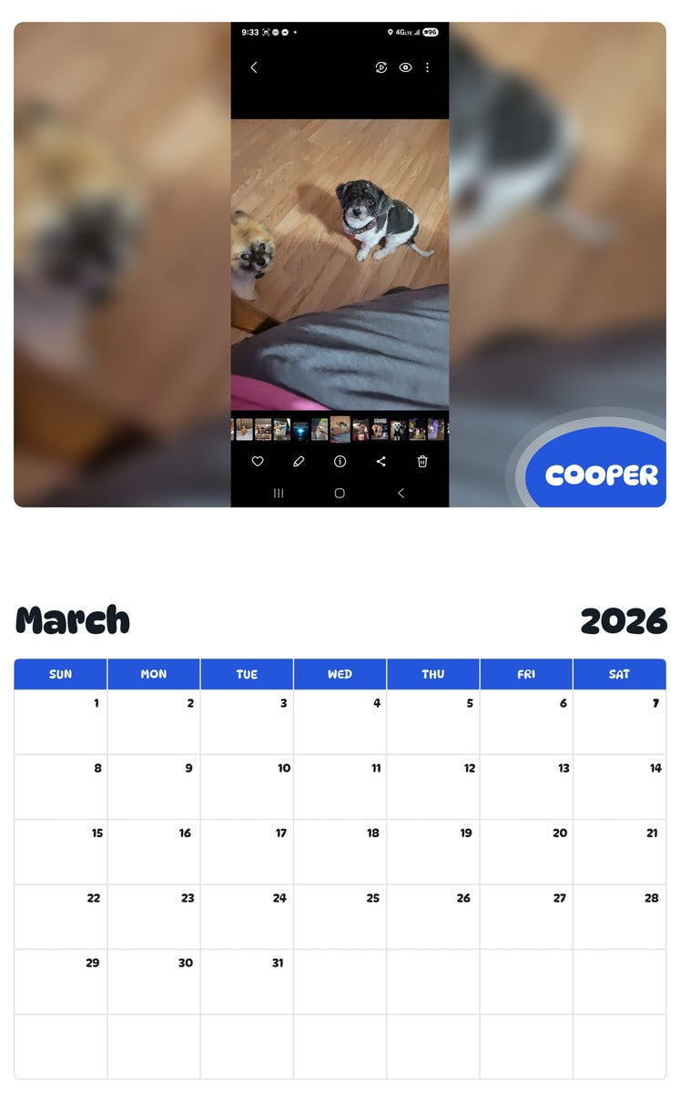 November 2025 - October 2026 COOPER - Pawidols Pet Calendar