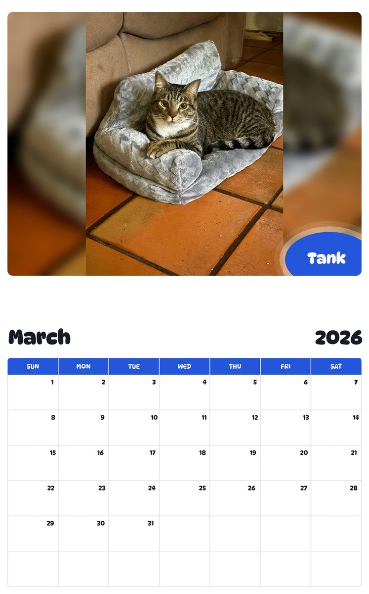 November 2025 - October 2026 Tank - Pawidols Pet Calendar