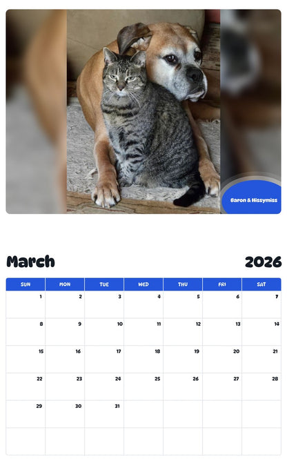 November 2025 - October 2026 Baron & Hissymiss - Pawidols Pet Calendar