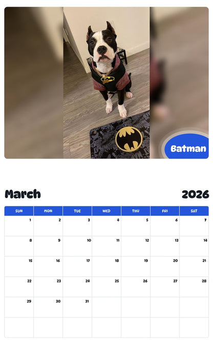 November 2025 - October 2026 Batman - Pawidols Pet Calendar