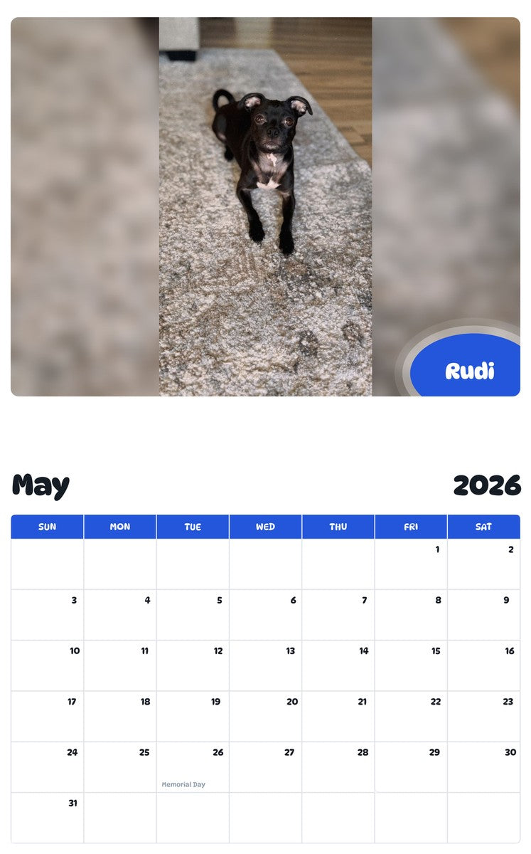 2026 - 2027 Rudi - Pawidols Pet Calendar