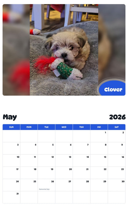 2026 - 2027 Clover - Pawidols Pet Calendar