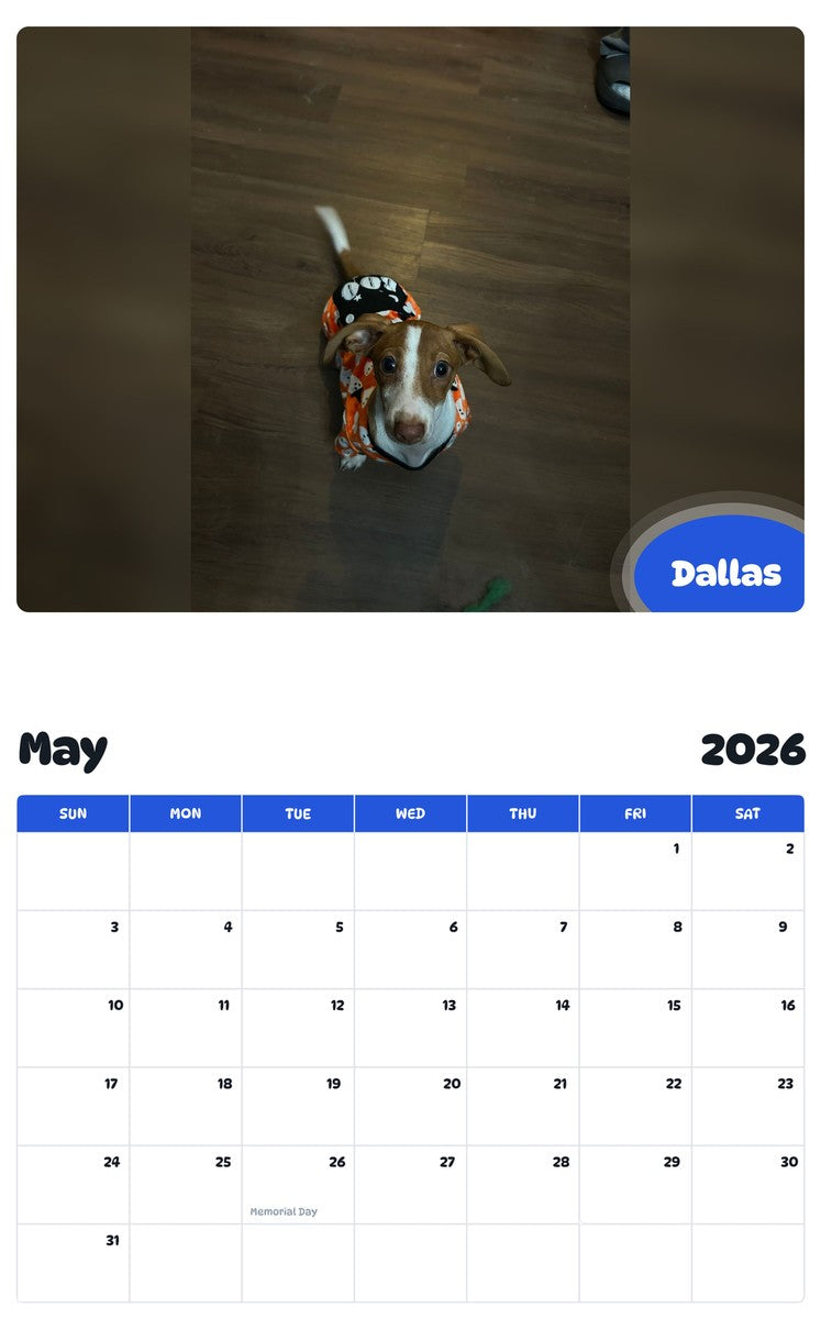 2026 - 2027 Dallas - Pawidols Pet Calendar