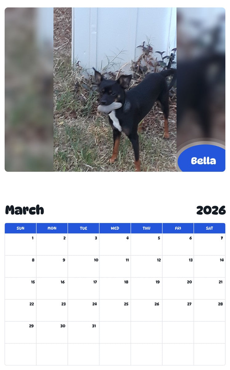 November 2025 - October 2026 Bella - Pawidols Pet Calendar