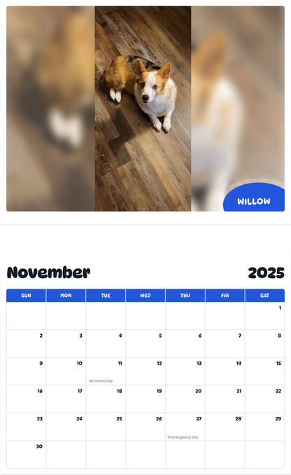 July 2025 - June 2026 Willow - Pawidols Pet Calendar