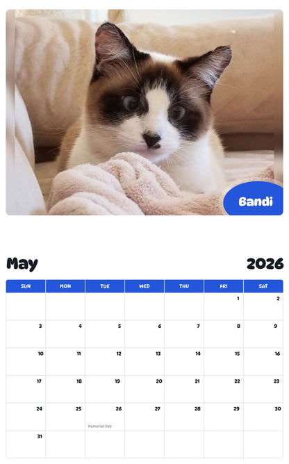 2026 - 2027 Bandi - Pawidols Pet Calendar