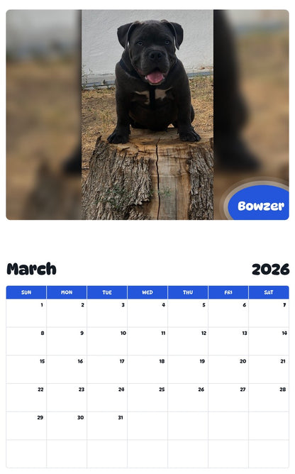November 2025 - October 2026 Bowzer - Pawidols Pet Calendar