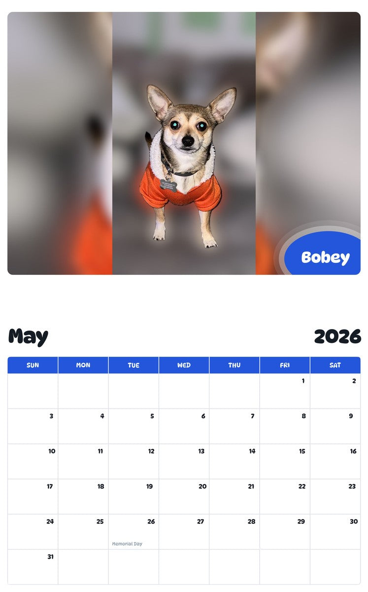 2026 - 2027 Bobey - Pawidols Pet Calendar