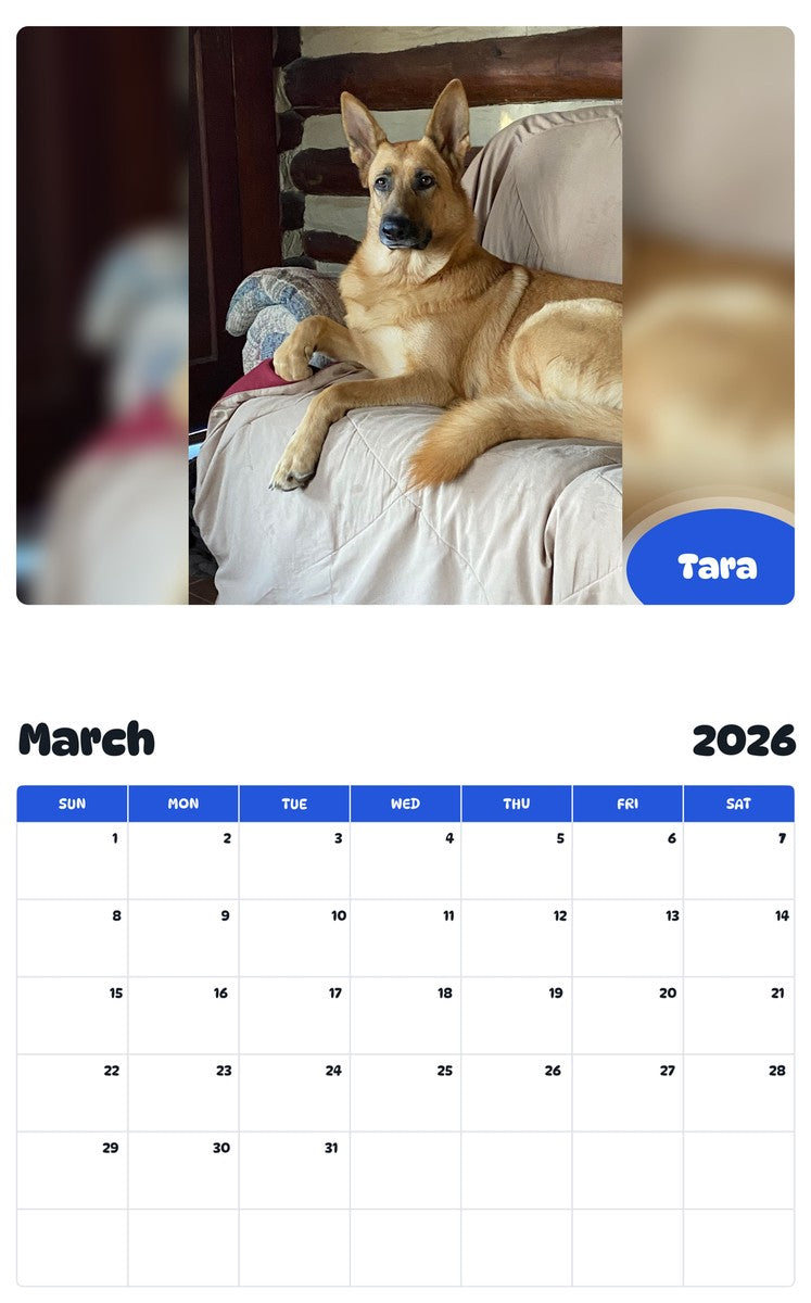November 2025 - October 2026 Tara - Pawidols Pet Calendar